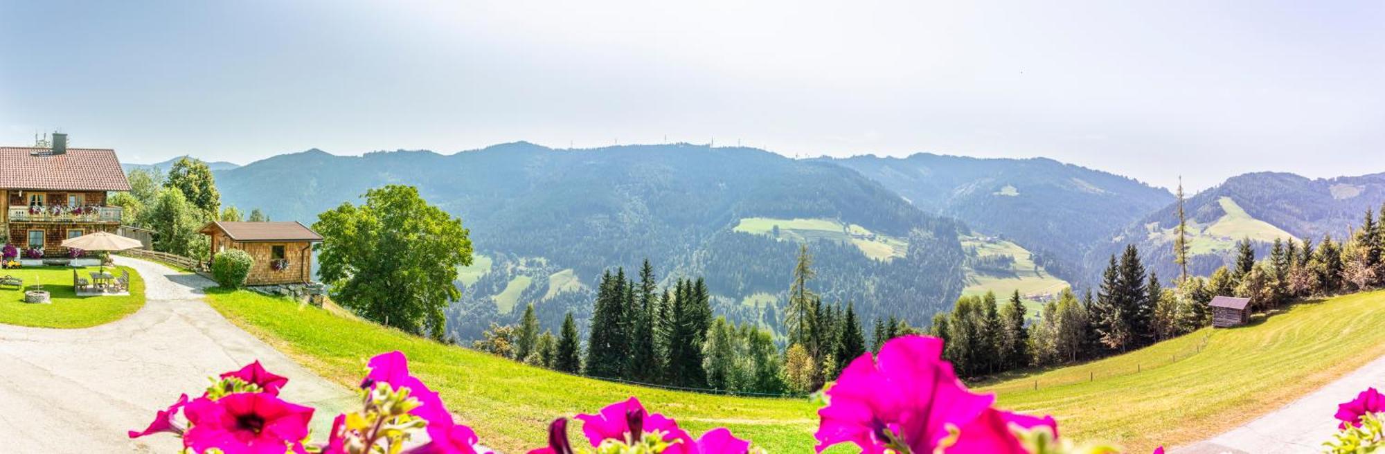 Landhaus Hochkoenig Muhlbach Am Hochkonig Luaran gambar