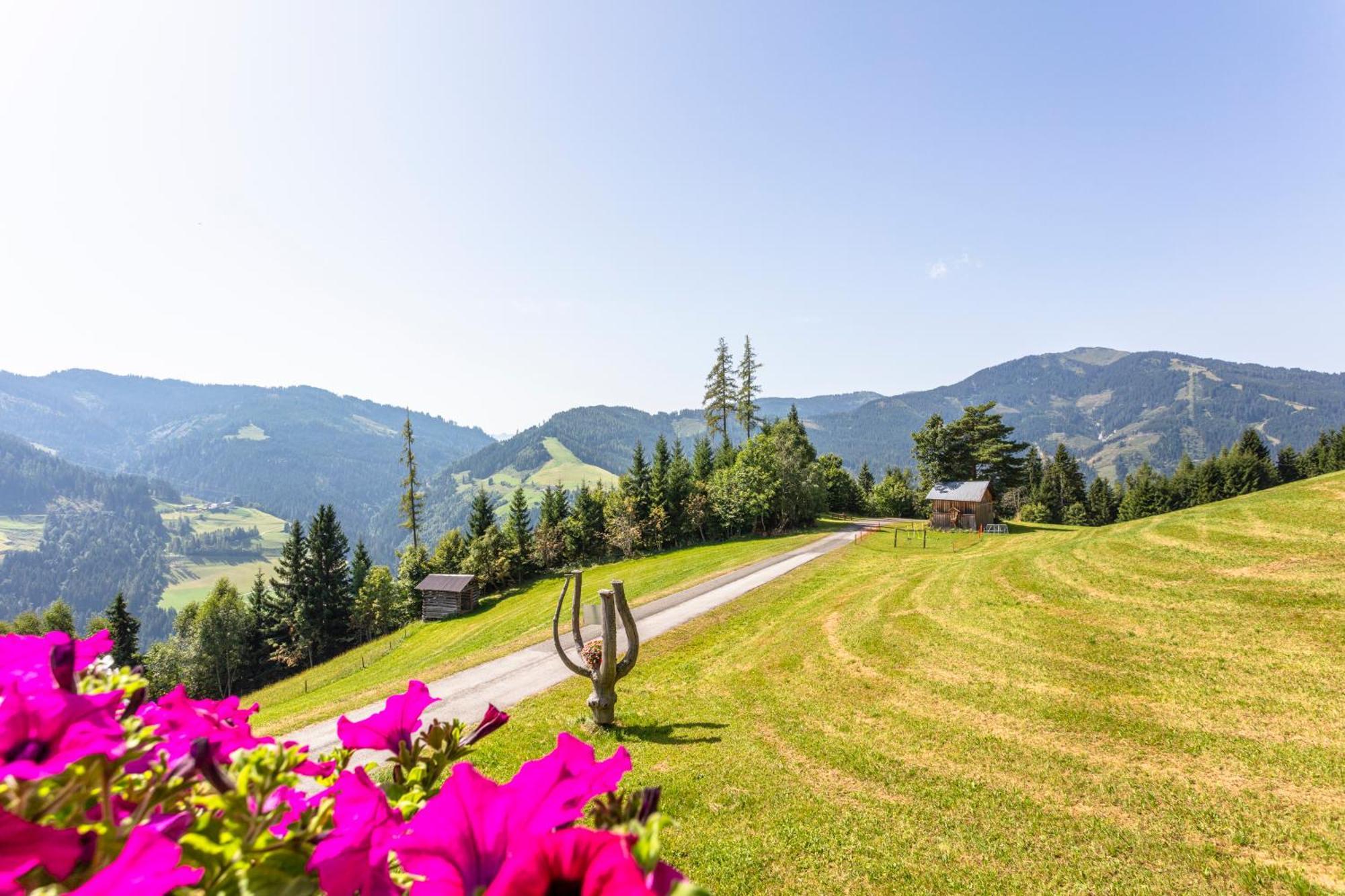 Landhaus Hochkoenig Muhlbach Am Hochkonig Luaran gambar